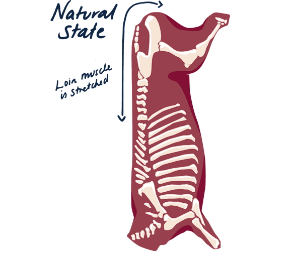 Natural State Hanging Method Natural State Hanging Method